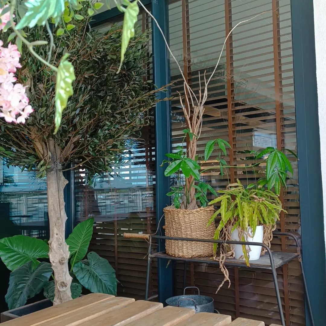 Store vénitien bois satiné vue d'extérieur