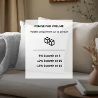 Coussins-PSO---remise-par-lot.webp