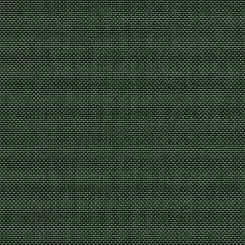 Vignette---tissus-oxford--Vert-sapin_liste_350x_liste.webp
